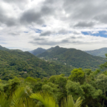 O Homem e a Biosfera - IlhaMuseu - Ilha das Cabras, Ilhabela, SP