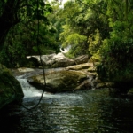 Parcerias - IlhaMuseu - Ilha das Cabras, Ilhabela, SP