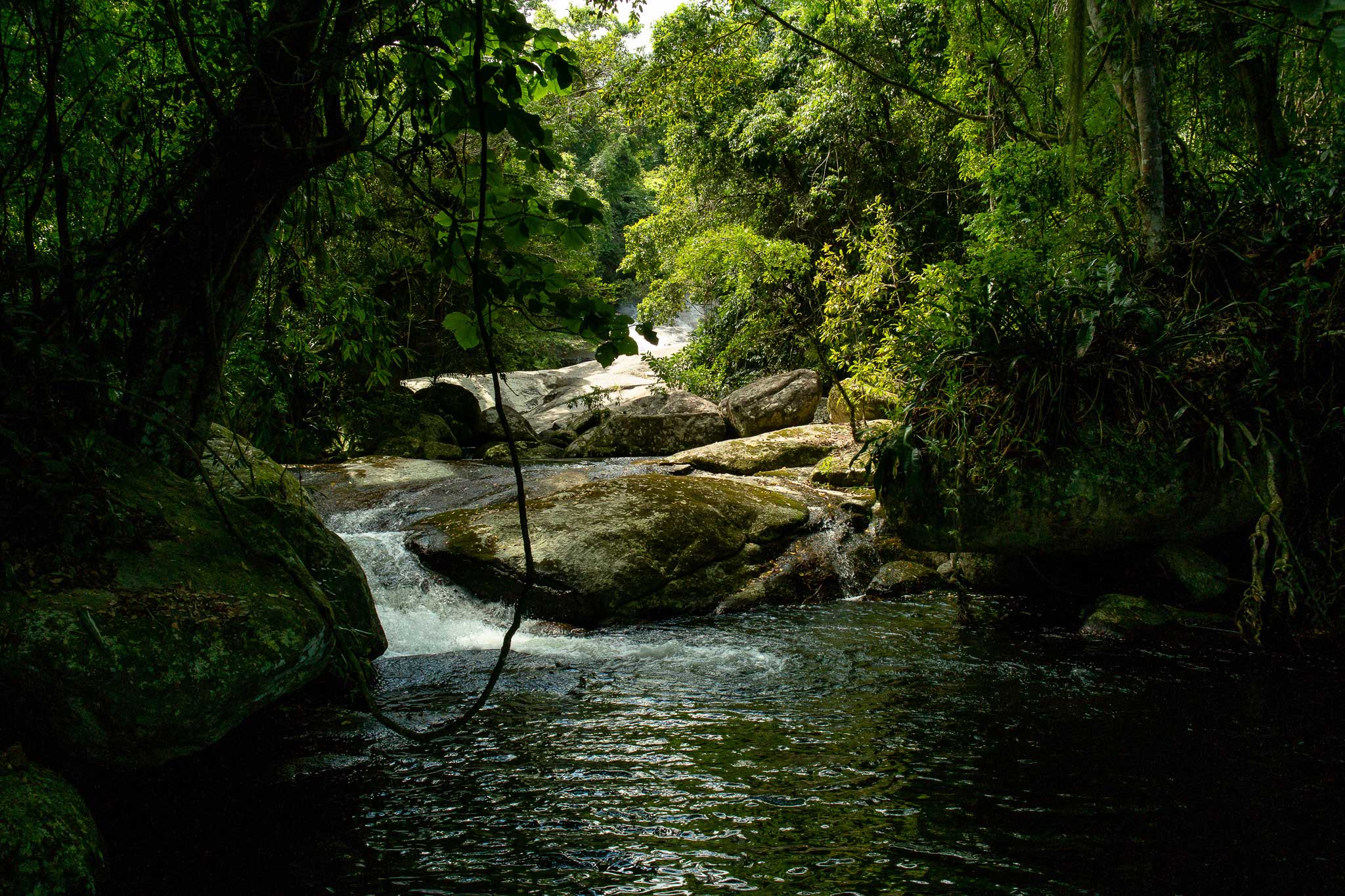 Parcerias - IlhaMuseu - Ilha das Cabras, Ilhabela, SP