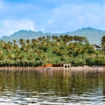 Projeto IlhaMuseu - Ilha das Cabras, Ilhabela, SP