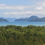 Litoral Norte de São Paulo - IlhaMuseu - Ilha das Cabras, Ilhabela, SP