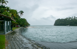 Jornada Participativa IlhaMuseu - Ilha das Cabras, Ilhabela, SP