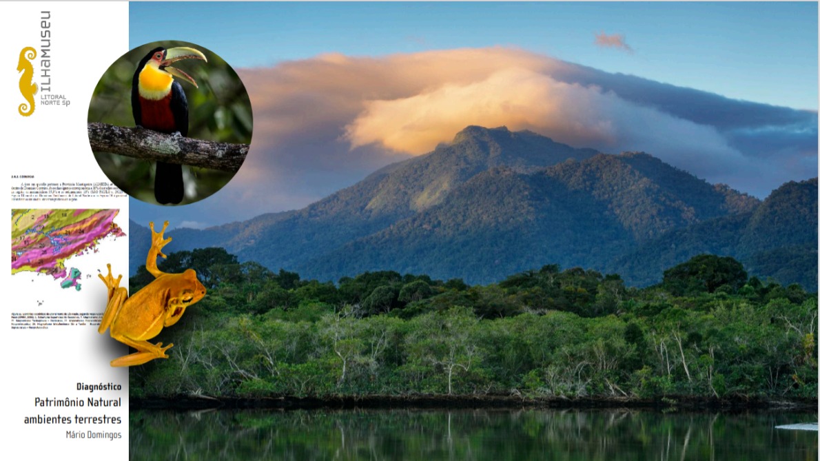 Diagnóstico do Patrimônio Natural - Ambientes terrestres, por Dr. Mário Donizeti Domingos, Biólogo e Consultor UNESCO